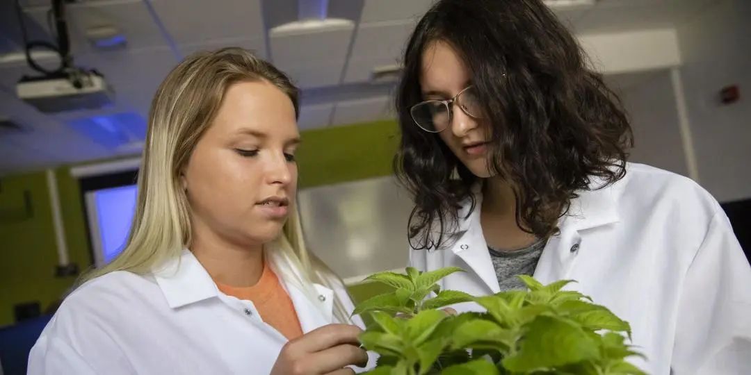 伊利诺伊大学香槟分校 排名_伊利诺伊大学香槟分校申请_美国伊利诺伊大学香槟分校毕业证