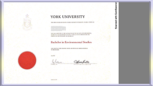 York-University,Canada-diploma-加拿大约克大学毕业照