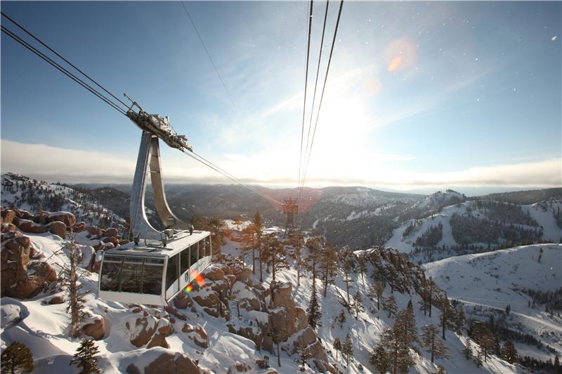 雪山和金装素力高_美国最高雪山_美国雪山狗粮