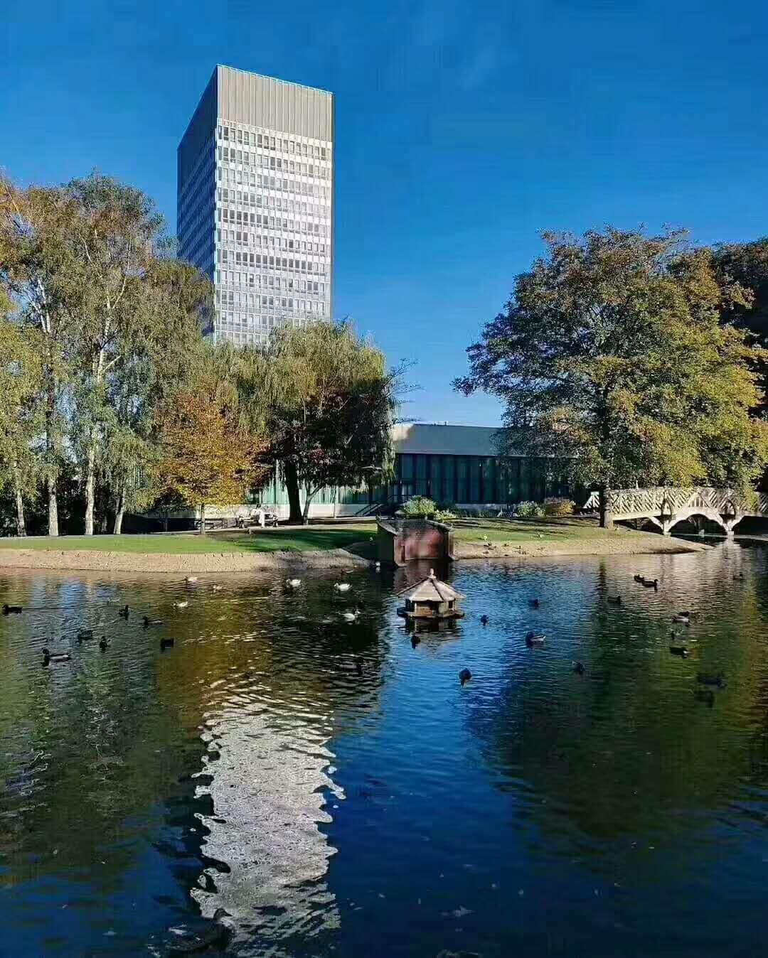 英国基尔大学的商科_基尔大学英国排名_英国基尔大学毕业证书