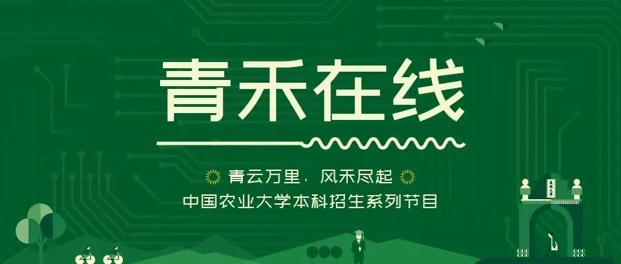 美国克莱姆森大学毕业证