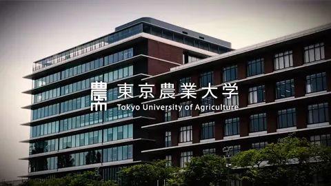 日本东京都市大学毕业证