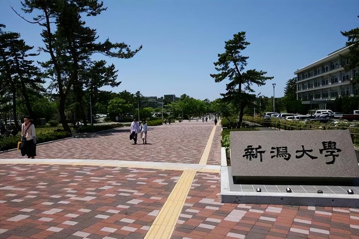 日本东京都市大学毕业证