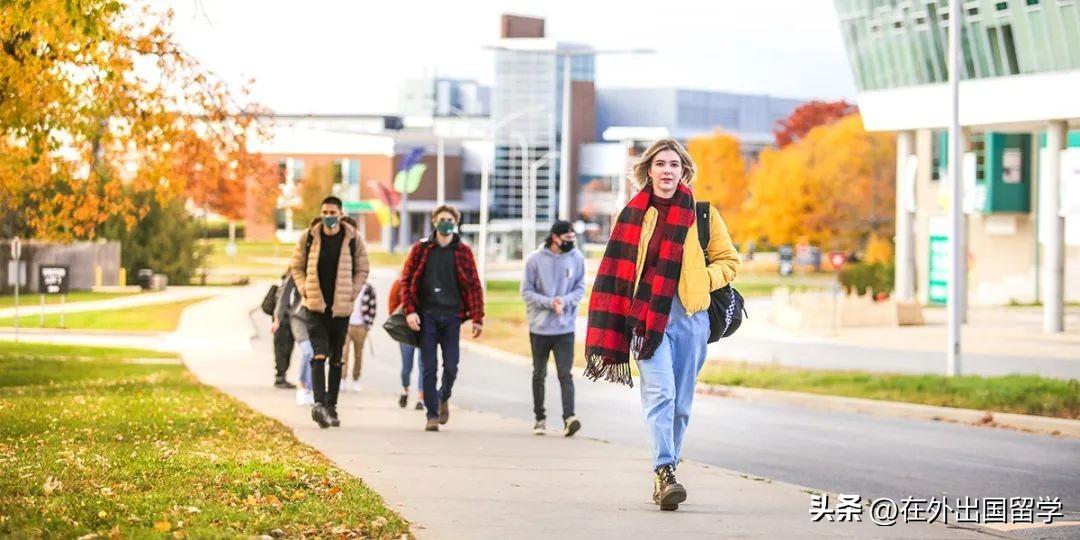 加拿大约克大学毕业证