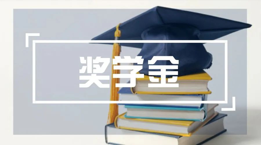 新加坡科技设计大学毕业证