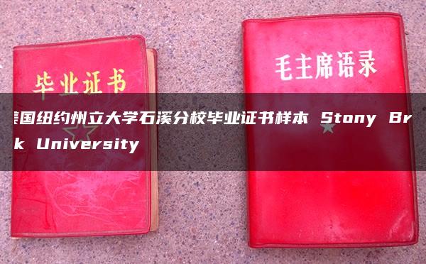 纽约州立大学石溪分校毕业证