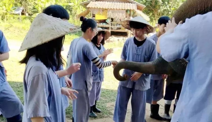 内布拉斯加大学奥马哈分校毕业证