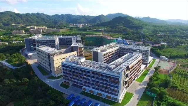 阿兰特国际大学毕业证