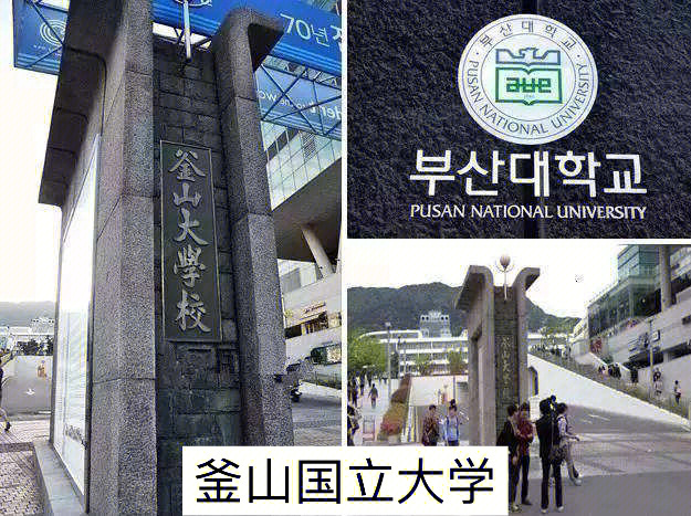 韩国庆北大学毕业证