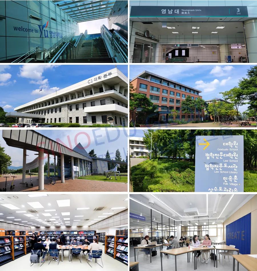 韩国岭南大学毕业证