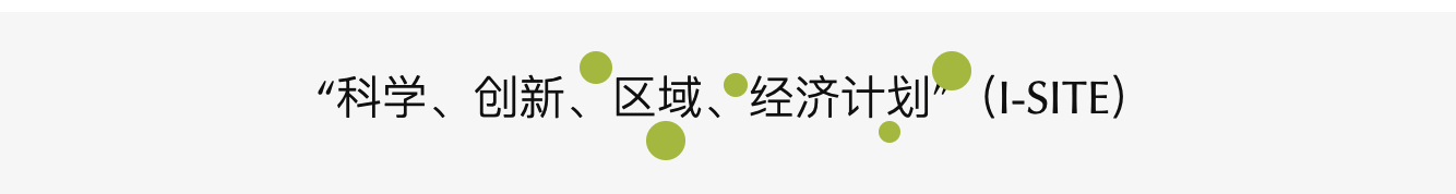 法国蔚蓝海岸大学毕业证书