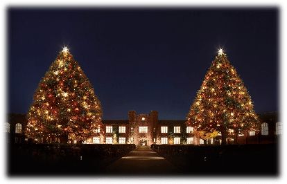 日本青山学院大学毕业证