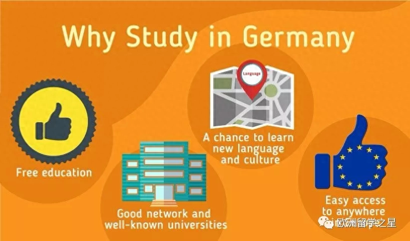 法国里昂第二大学毕业证