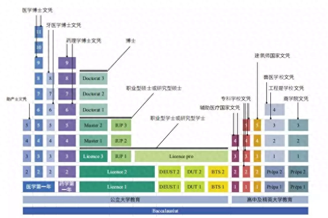 法国里昂第二大学毕业证