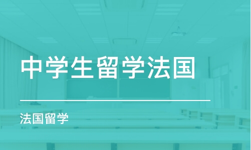 法国里昂第二大学毕业证