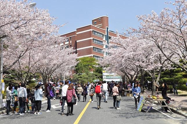 韩国汉阳大学毕业证