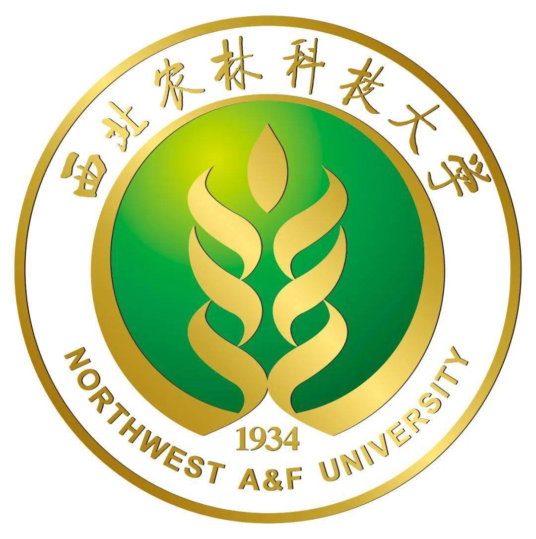 约旦约旦科技大学毕业证