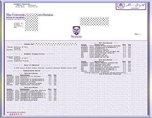 新英格兰大学毕业证