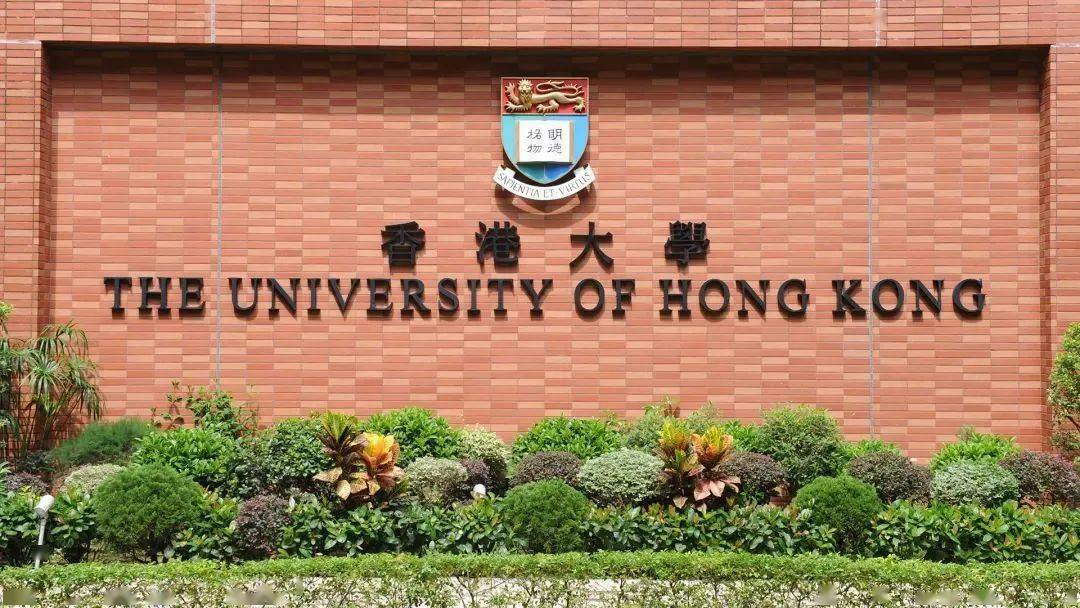 首尔国立大学毕业证