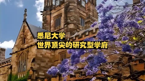 北欧留学体验：探索学术天地，领略多元文化与创新教育